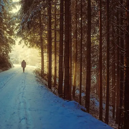 公寓 Viewmountain - Cieplice